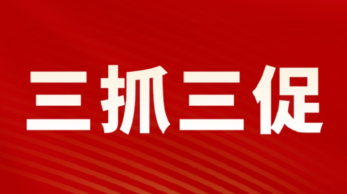 三抓三促进行时丨米兰(中国)_米兰平台集团召开重点项目调度会